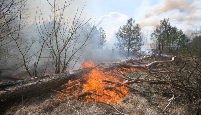 Ermənistan Göygölü atəşə tutdu: Meşədə yanğın başladı