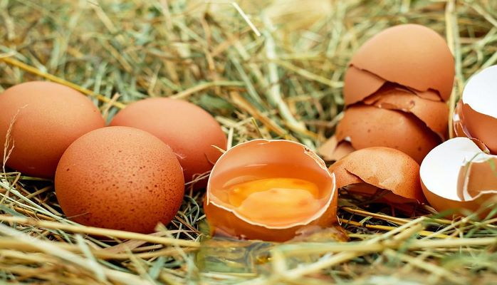 Ученые: курицы научились нести противораковые яйца