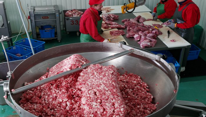 В России создали недорогое искусственно выращенное мясо