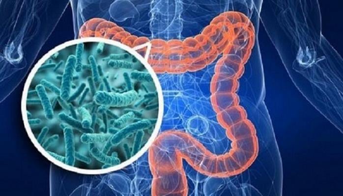 "İkinci beyin"i necə işlədək? - Bu dərmanlardan imtina edin