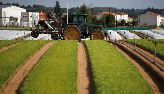 ВБ назвал главную проблему аграрного сектора в Азербайджане