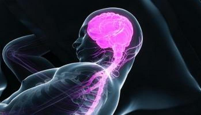 Beyinin ən yaxşı təmizləndiyi və yeniləndiyi saatlar...