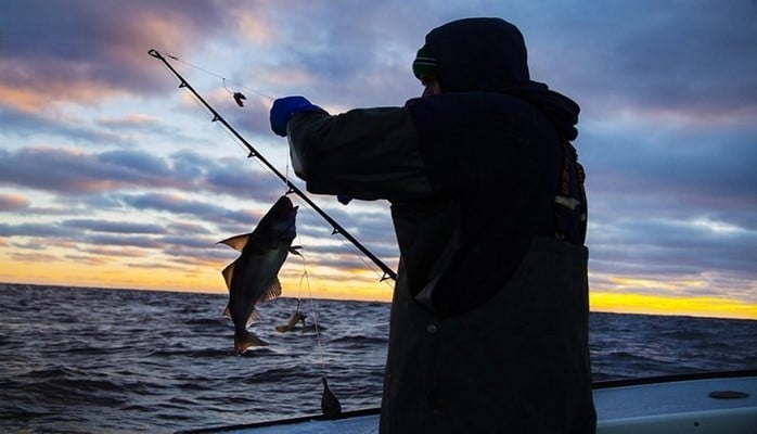 Продолжаются мероприятия с целью предотвращения незаконной рыбной ловли