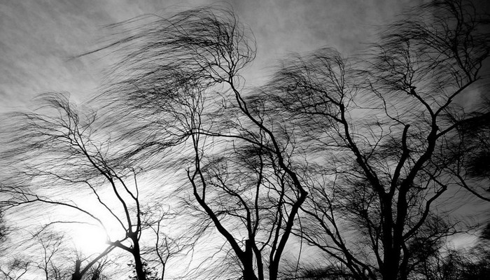 Faktiki hava: Ölkə ərazisinin bəzi yerlərində arabir güclənən şimal-qərb küləyi əsir