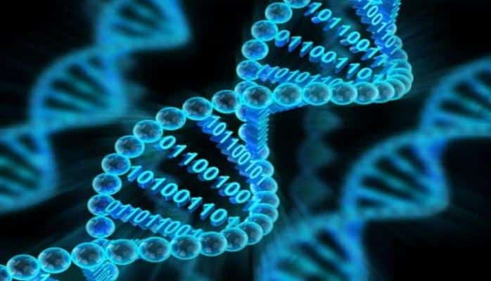 Microsoft DNT əsasında hazırlanmış “sərt disk”i göstərdi