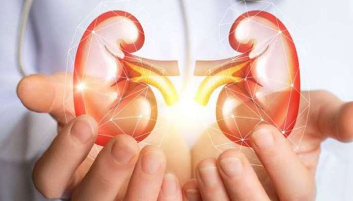 Böyrəklərin sağlamlığını qoruyan təbii müalicə üsulları