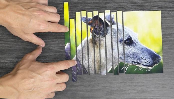 12 удивительных научных опытов: зрелищные эксперименты