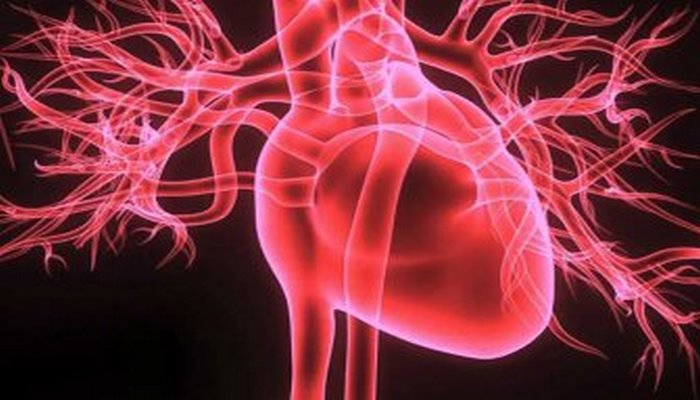 Ученые создали новый метод диагностики пороков сердца