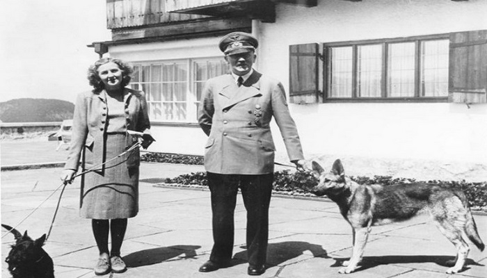 Adolf Hitleri kim öldürüb? — Araşdırma