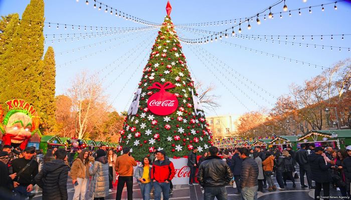 FHN-dən Yeni il bayramında yanğın təhlükəsizliyi ilə bağlı əhaliyə çağırış