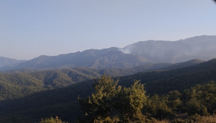 FHN Dövlət Yanğın Nəzarəti Xidməti qəsdən yanğıntörətmə faktının üstünü açıb