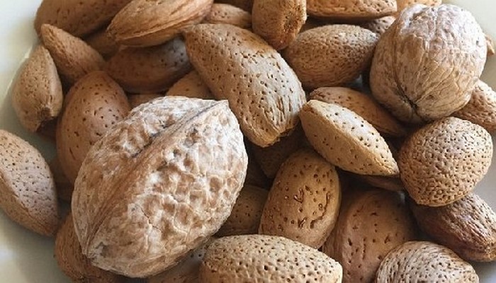 Грецкие орехи vs миндаль — что полезнее?