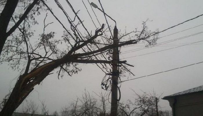 Güclü külək Biləsuvar və Cəlilabadda da fəsadlar yaratdı