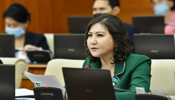 Güldara Nurimova: İqlim dəyişmələrinin səhiyyəyə təsirlərini azaltmaq üçün türk dövlətlərinin birgə fəaliyyəti vacibdir