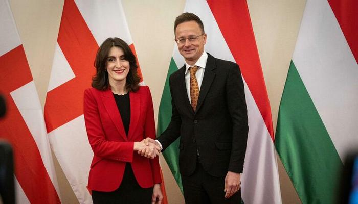 Gürcüstanın XİN başçısı Azərbaycanla münasibətlərdən danışdı