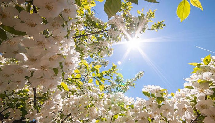 Havanın maksimal temperaturu iqlim normasından dörd dərəcə yuxarı olub - FAKTİKİ HAVA