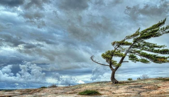 Havanın temperaturu aşağı düşəcək - XƏBƏRDARLIQ