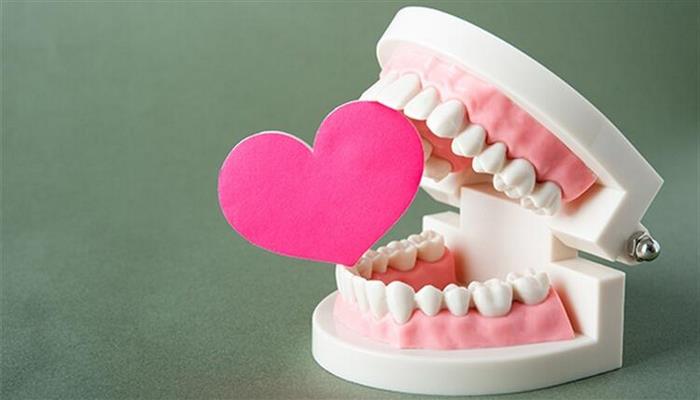 Kalp hastalarında ağız ve diş sağlığı