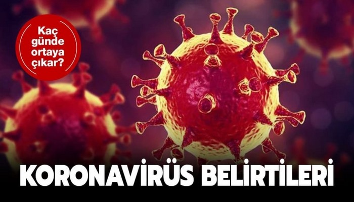 Koronavirüs belirtileri nelerdir? Koronavirüs kaç günde belli olur?