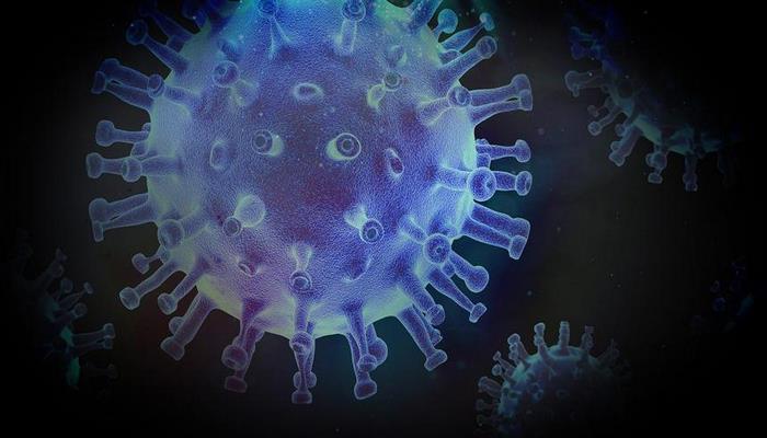 Koronavirus infeksiyasının yaranması ilə bağlı  yeni nəzəriyyə açıqlandı