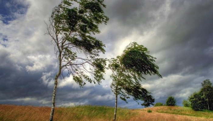Küləkli hava şəraiti ilə bağlı sarı və narıncı xəbərdarlıq edilib