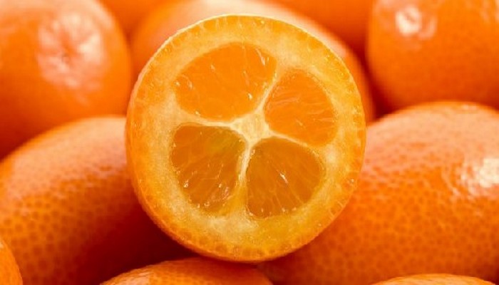 Кумкват: Декоративный мандарин может быть эффективен против рака и целого ряда других заболеваний