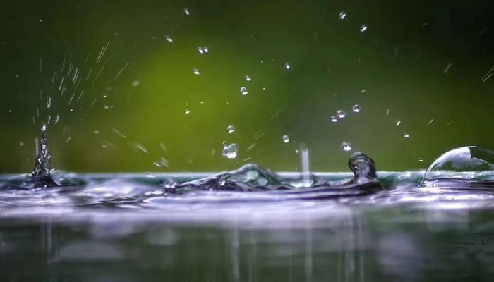 Leysan sabah da davam edəcək - 11.12.2025