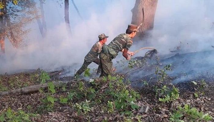 Masallıda yanğın törədən şəxs müəyyən edildi