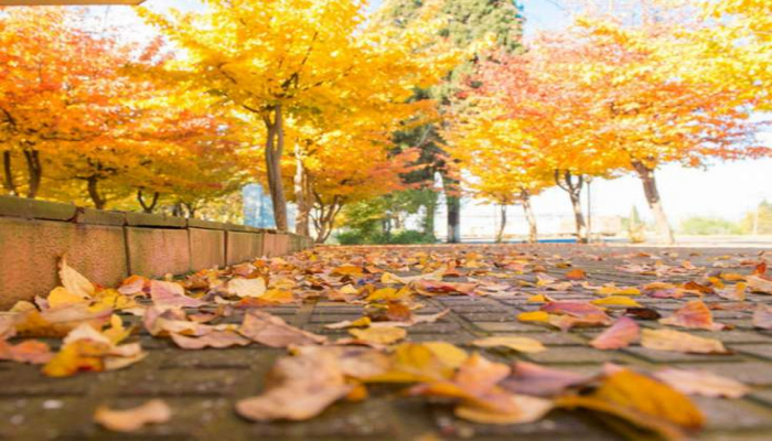 Bu gün Azərbaycanda təbiət hadisəsi baş verəcək