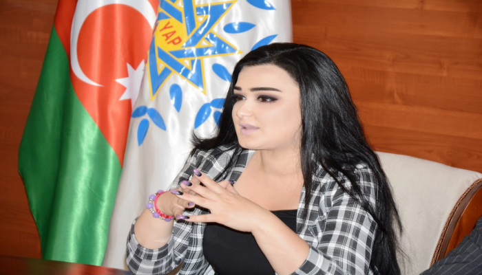 Ermənistanaı hərbi avadanlıqları pulsuz verən ölkələr Azərbaycanın ən böyük düşmənləridir - QHT sədri