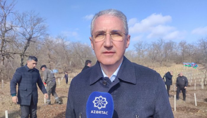 Muxtar Babayev: Ötən il ölkə ərazisində 8 milyondan çox ağac əkilib