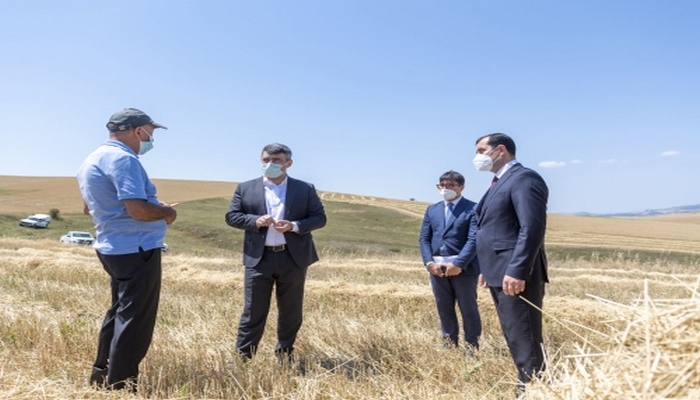 Nazir taxıl biçini prosesində