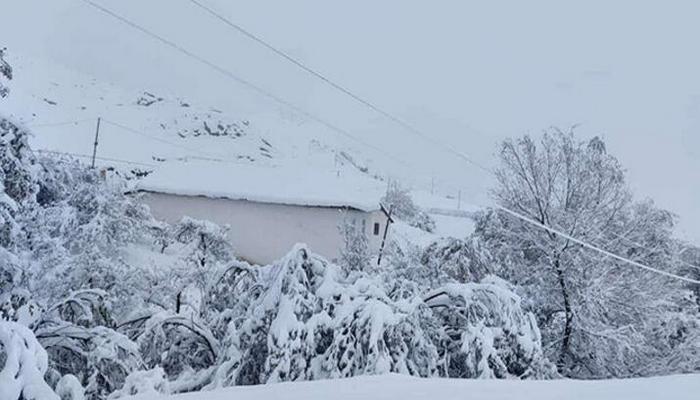 Nazirlik: "Axşamdan bu qışın ən uzunmüddətli soyuq dövrü başlayacaq"