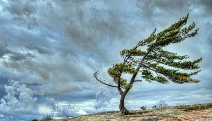 Nazirlikdən hava şəraiti ilə bağlı XƏBƏRDARLIQ
