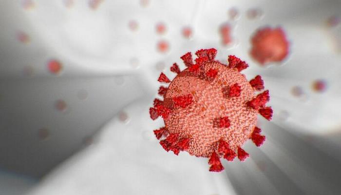 Peyvəndin tərkibindəki koronavirus hissəcikləri COVİD-19-a səbəb ola bilər?