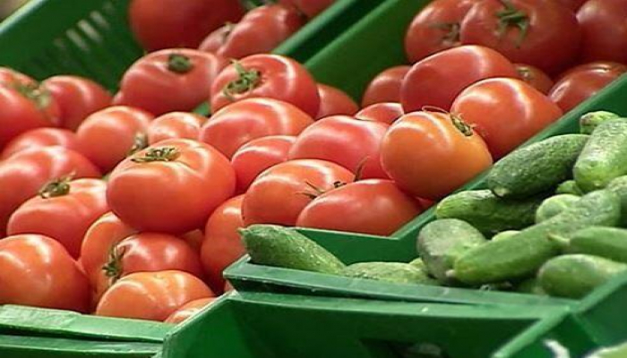 16 şirkətə Rusiyaya pomidor ixracına icazə verildi