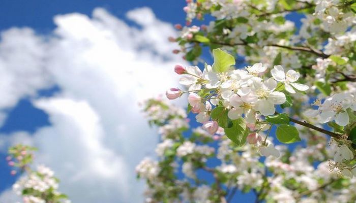 Qışın son gününün havası açıqlandı