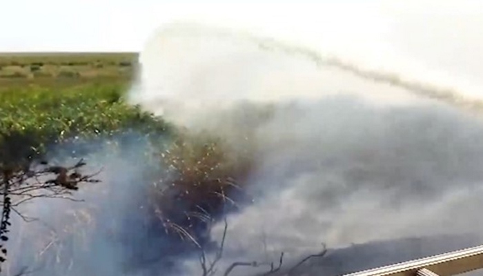 Qızılağacdakı yanğın söndürüldü