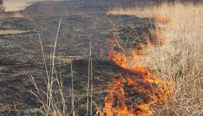 Qubada açıq sahədə baş verən yanğın söndürüldü