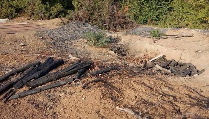 Qubada ağac kömürü istehsal edilən quyular aşkarlandı