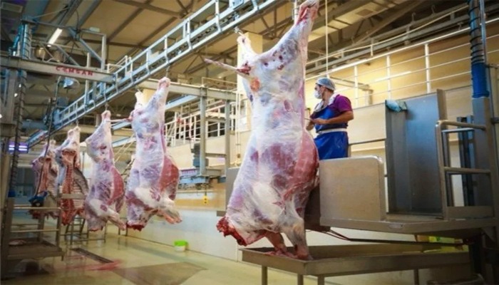 Qurbanlıq ət kəsildikdən neçə saat sonra yeyilməlidir? - Mütəxəssis məsləhəti