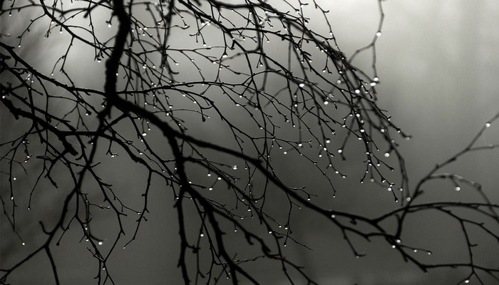 Rayonlara yağış və qar yağacaq - XƏBƏRDARLIQ