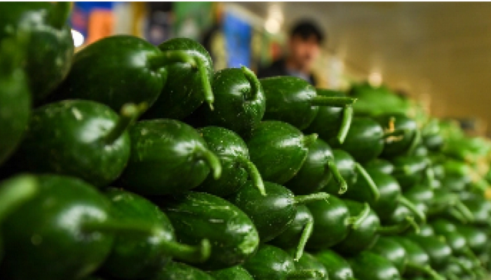 Rayonlarda kiloqramı 50 qəpiyə olan xiyar niyə Bakıda iki manata satılır?