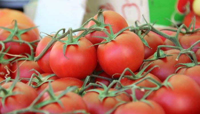 Rusiya Azərbaycanın daha dörd müəssisəsindən pomidor idxalına icazə verdi