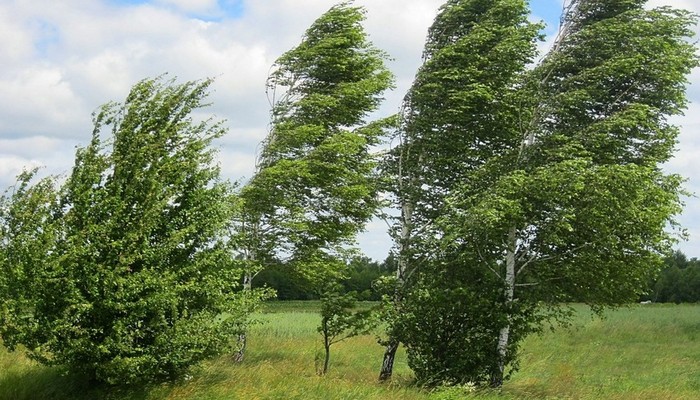 Sabah hava yağmursuz olacaq, güclü külək əsəcək
