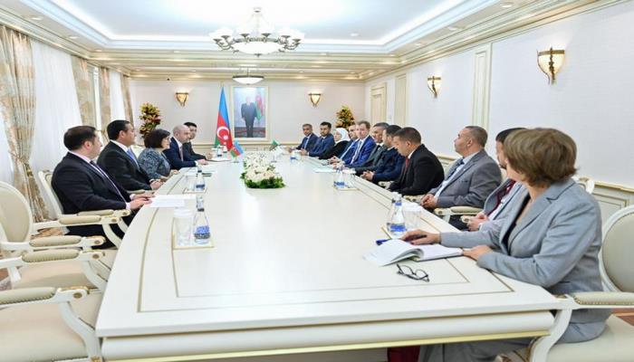 Sahibə Qafarova Əlcəzair Xalq Milli Assambleyasının komitə sədri ilə görüşüb