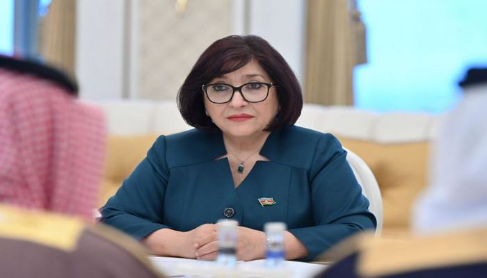 Sahibə Qafarova Ermənistanı konstitusiyasını dəyişməyə çağırdı