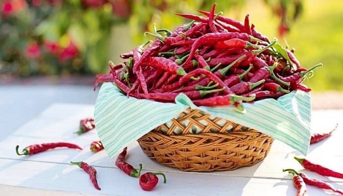 Sofraların lezzeti isotun sofraya geliş hikâyesi! İsot nasıl yapılır?