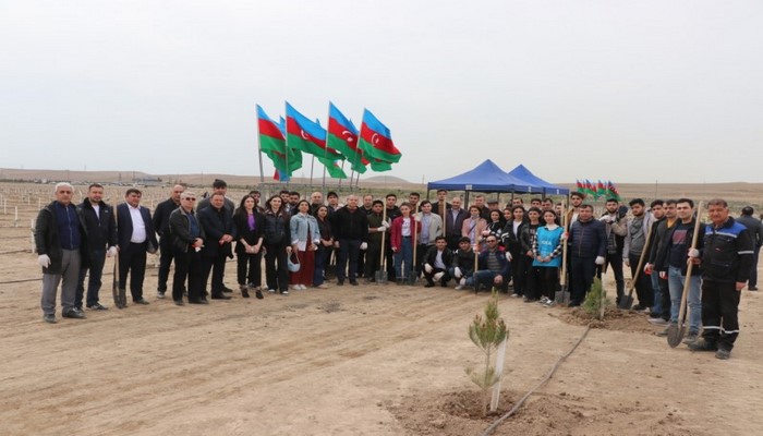 Сотрудники БГУ приняли участие в акции по посадке деревьев