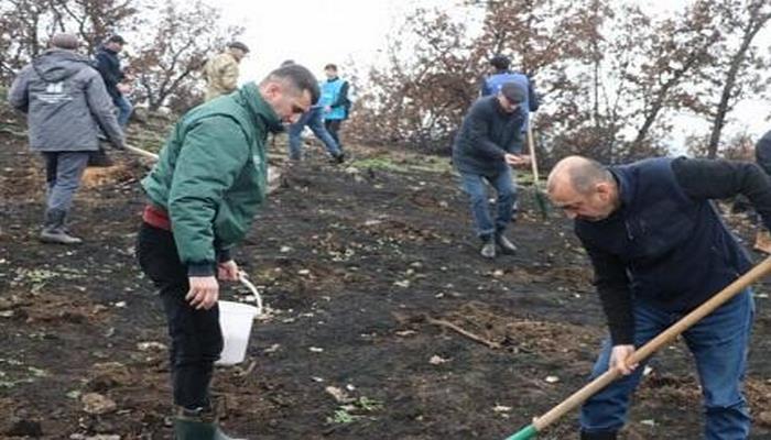 Su çərşənbəsində 55 mindən çox ağac əkildi